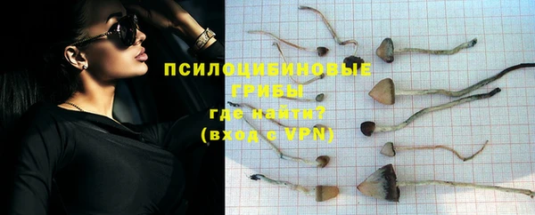 гашик Навашино