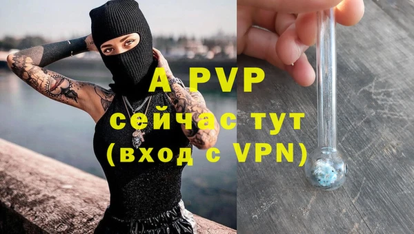 спиды Нея