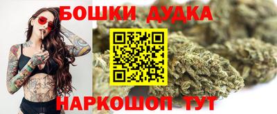 индика Балахна