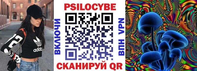ссылка на мегу ТОР Зеленогорск Галлюциногенные грибы Psilocybe дарнет шоп