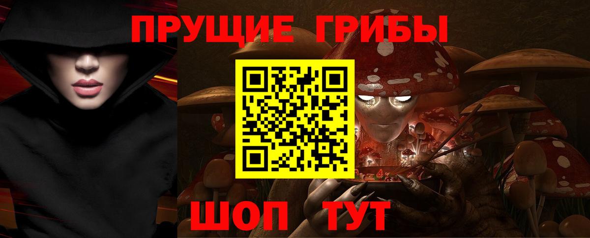 Псилоцибиновые грибы мицелий  наркотики  Зеленогорск 